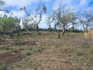Tepoztlan Morelos Huilotepec Lote En Venta 400 M2