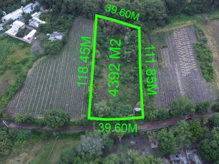 🌳Terreno 4,392 m² frente al Parque El Sabinal, Salvatierra – $3,500,000 MXN