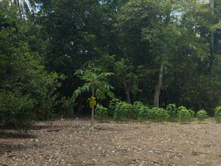 VENTA DE TERRENO EN VILLAHERMOSA TABASCO
