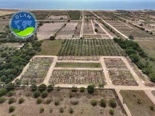 “Olam” Lotificación, Terrenos En Playa Palmarito. Puerto Escondido, Oaxaca