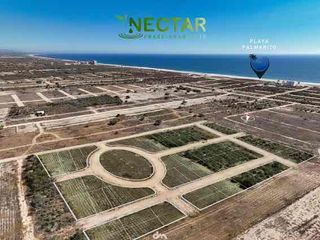 “Néctar” Lotificación, Terrenos En Playa Palmarito, Puerto Escondido Oaxaca.