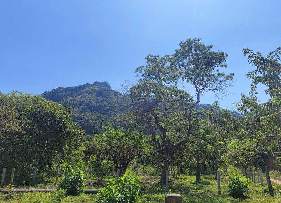 place photo 17