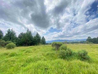 En VENTA 10,000 m2  en Montemar. Acaxochitlan. cerca de presa tejocotal.