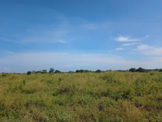 TERRENO EN VENTA EN CERRO GALAN, TLALIXCOYAN 50 HECTAREAS