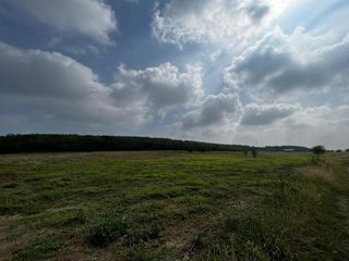 Venta de Magnifico Rancho en Hualahuises