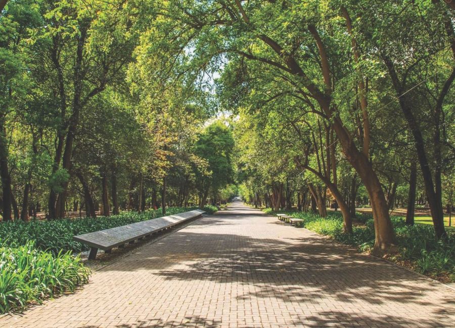 place photo 19