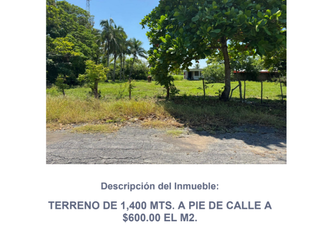 TERRENO EN VENTA EN LA PIEDRA, ALVARADO DE 1400m2