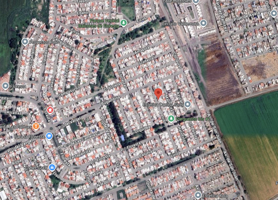 CASA EN VENTA - Iris 161, Residencial Floresta, 36595 Irapuato, Gto ...