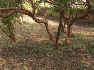 VENTA DE TERRENO DE 500 M2 EN TIERRA BLANCA TEPOZTLAN MORELOS