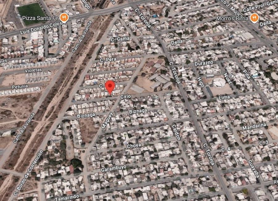 place photo 7