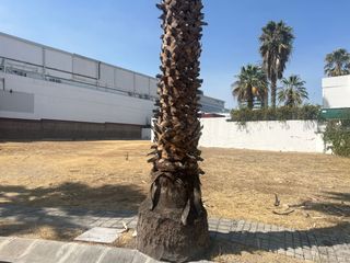 Venta de Terreno en Fraccionamiento Rincón de los Reyes, San Andrés Cholula, Pue