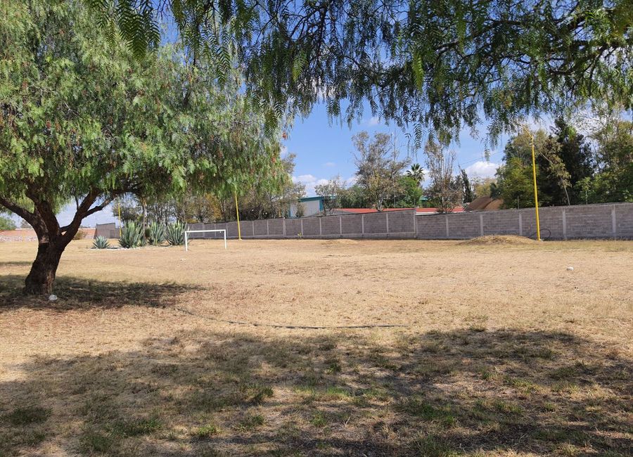 place photo 19
