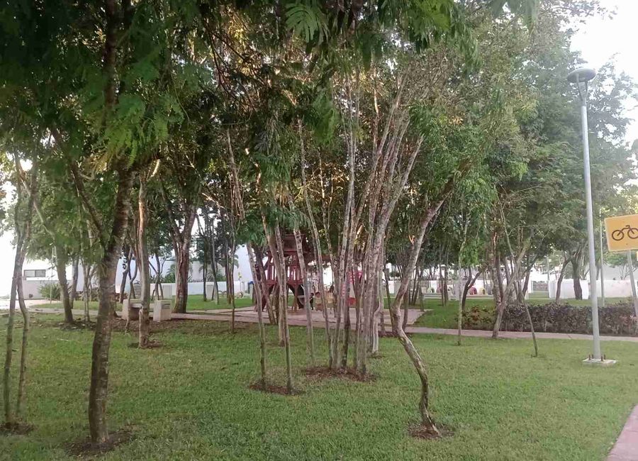 place photo 31