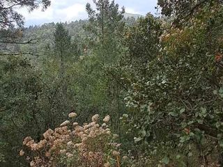 precioso terreno y ubicación en Monterreal