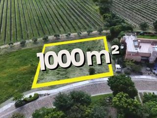 VENTA DE VIÑEDO EN SAN MIGUEL DE ALLENDE, GUANAJUATO