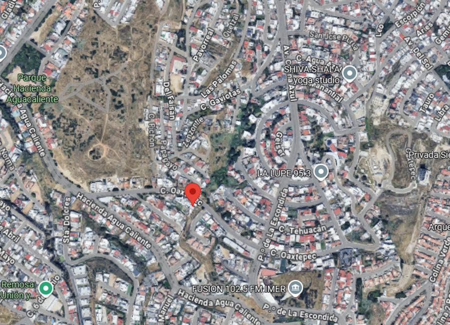 place photo 7