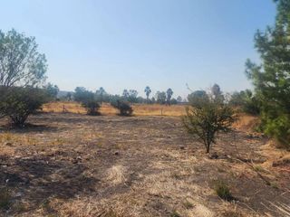 TERRENO EN VENTA EN VALLE DE LOS REYES