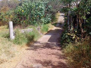 Tepoztlan Morelos Col. Del Carmen Terreno Plano Rectangular En Venta