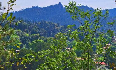 🌲 TERRENO “EL OCOTAL” – MINERAL DEL CHICO, PUEBLO MÁGICO 🌄