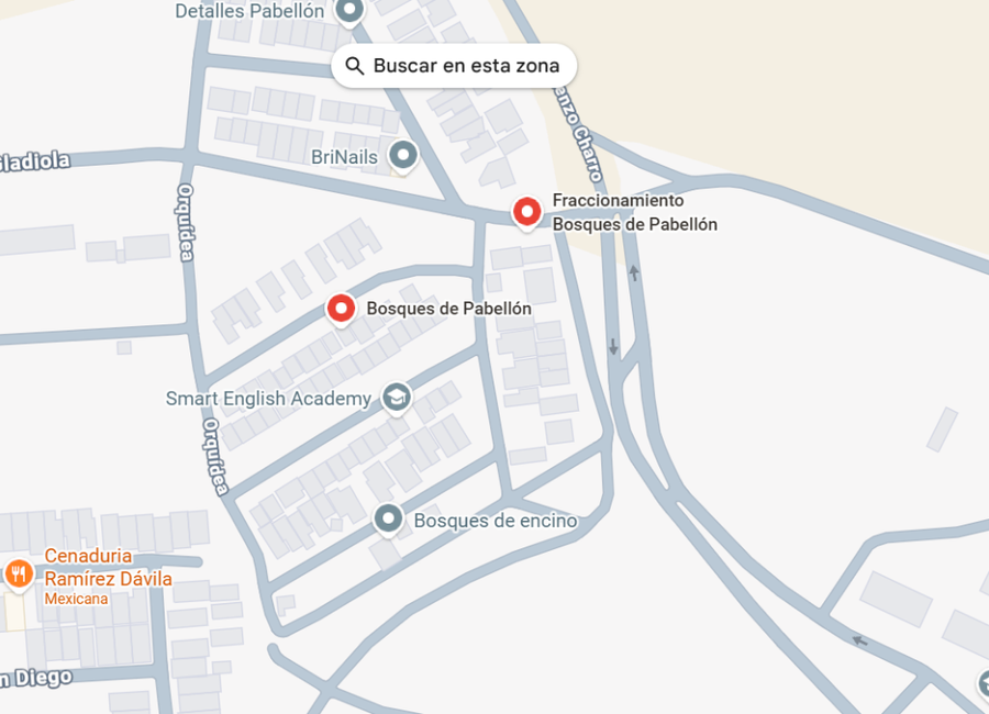 place photo 11