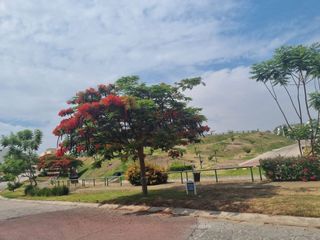 TERRENO EN VENTA SENDEROS DE MONTEVERDE
