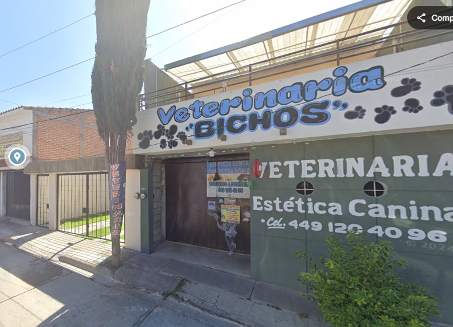 place photo 3