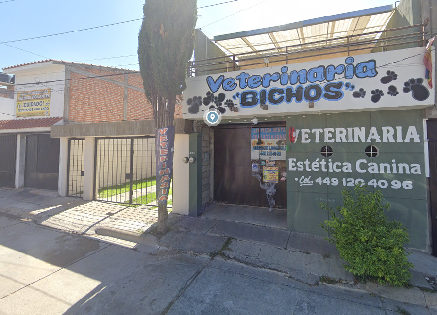 place photo 4
