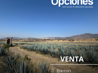 Terreno en Venta – Barrón