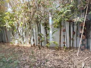 SE RENTA CASA EN EL FRACCIONAMIENTO LA ANTIGUA CEMENTERA EN PUEBLA, POR BLVD HERMANOS SERDÁN,  3 RECÁMARAS CON BAÑO COMPLETO C/U