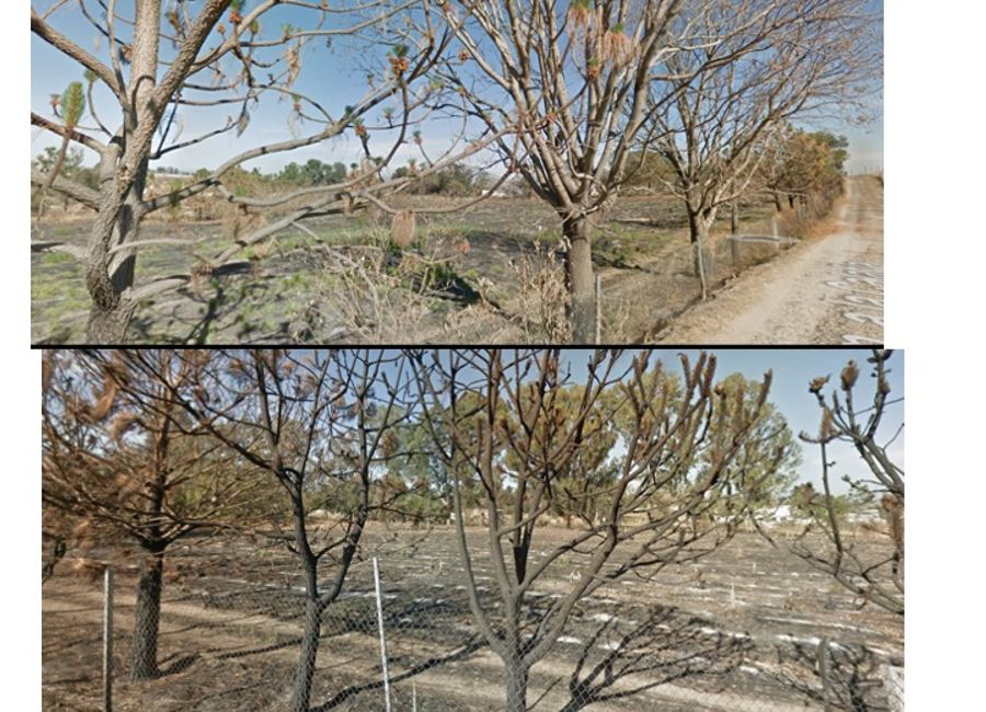 place photo 14