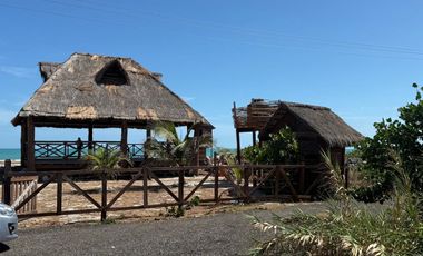 Terreno con Palapa en Carretera Carmen-Puerto Real