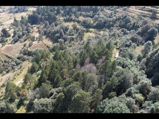 Terreno boscoso en Omitlán, Hidalgo a 1:30 de CDMX