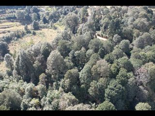 Terreno boscoso en Omitlán, Hidalgo a 15 minutos de pueblos mágicos