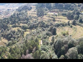 Invierte en Terreno Boscoso  en Omitlán,Hgo. A 10 min Real Del Monte