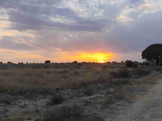REMATE DE 1.9 Ha. EN TECALI DE HERRERA. PUEBLA.
