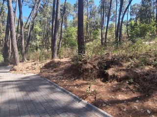 EXCELENTE TERRENO EN VENTA, AVANDARO