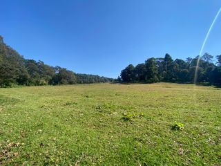 TERRENO EN VENTA CON ENTORNO DE BOSQUE A 25 MINUTOS DE VALLE DE BRAVO