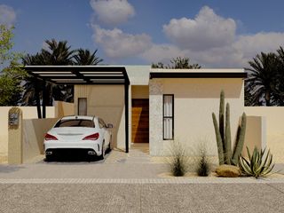 CASA ARENA