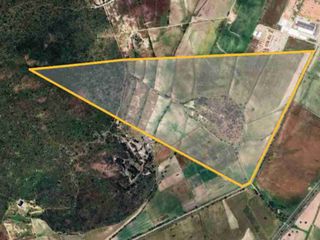 Terreno  de 91 HAS en venta.  en Zapotlan Hgo.