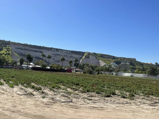 Terreno en Renta - Alamar