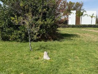 TERRENO EN VENTA EN SAN JOAQUIN