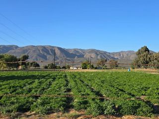 FINCA/RANCHO - COMERCIAL EN VENTA
