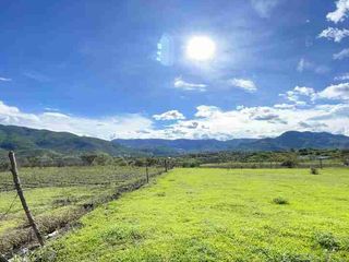 terrenos campestres Malinalco pueblo mágico ideal para cabañas de descanso