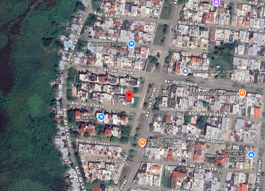 place photo 13