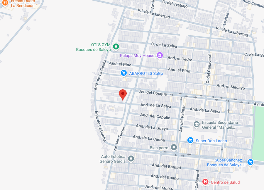 place photo 11