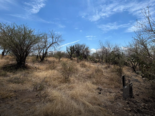 Terreno en venta en San Juan de Razos