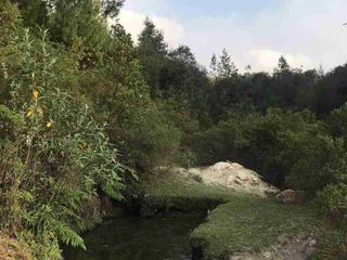 10 HAS Boscosas  y con pozas de AGUA, en VENTA. En Acaxochitlan  Hgo.