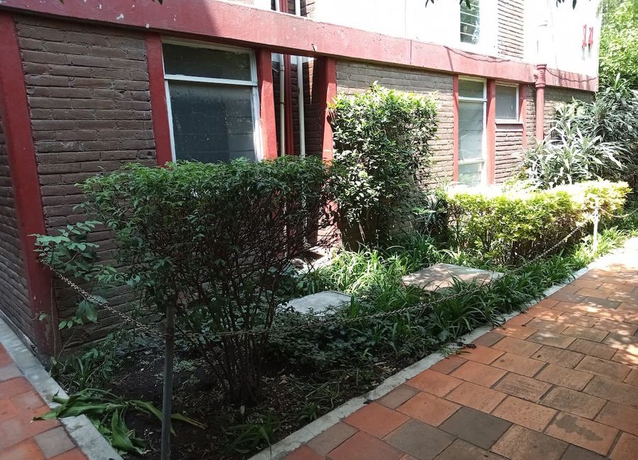 Apartment for rent Coyoacán (Ground Floor 1401) | Lamudi.com.mx