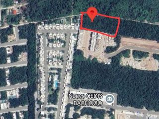 Terrenos en venta zona Bali  Palmara