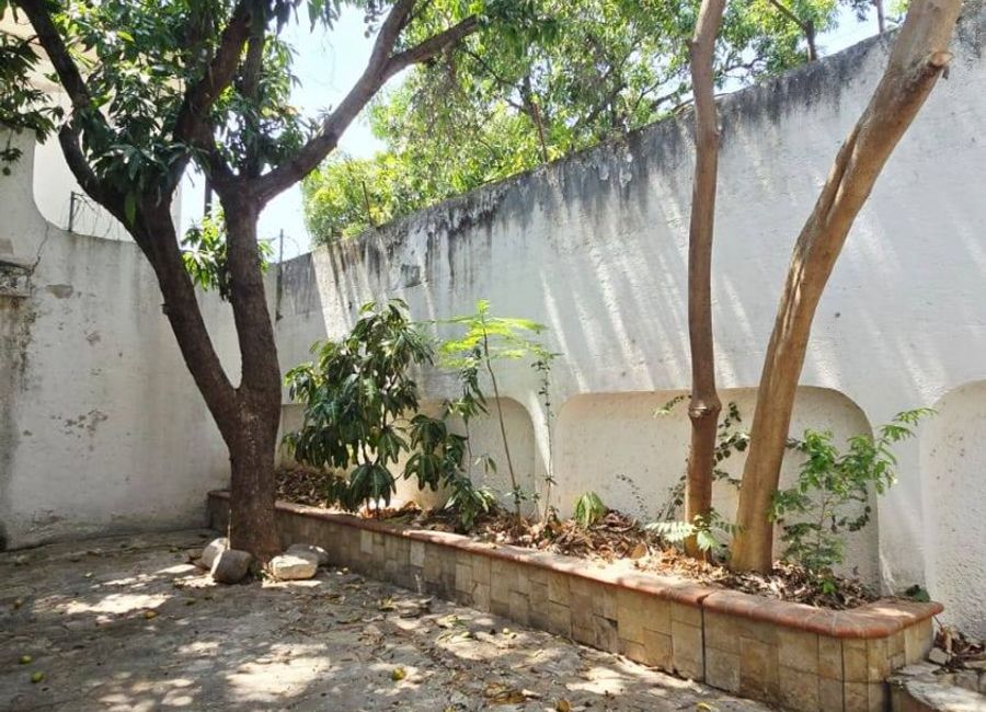 place photo 26